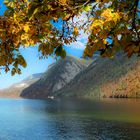 Goldenerhebst am Königssee 