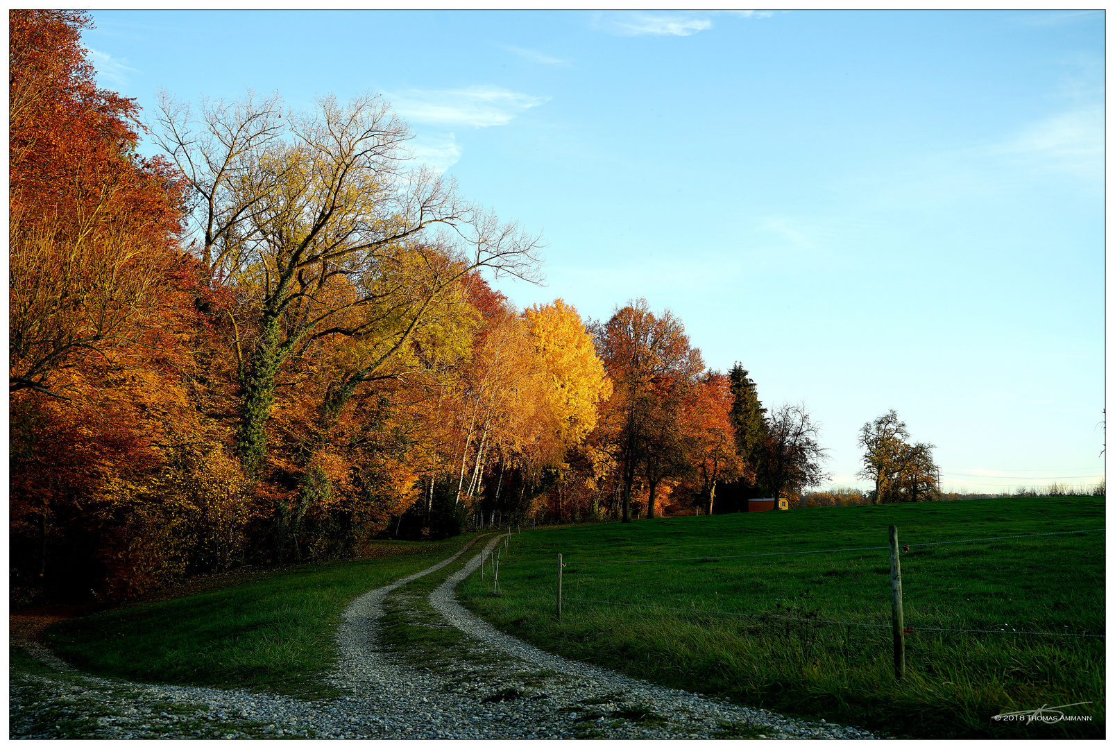 GoldenerHerbst_181111