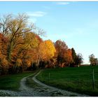 GoldenerHerbst_181111