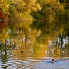 GoldenerOktoberBadevergnügenFoto