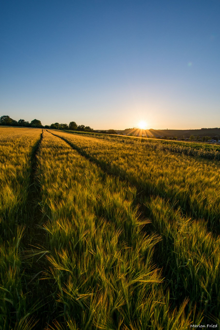 Goldenes Abendlicht