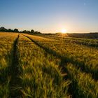 Goldenes Abendlicht