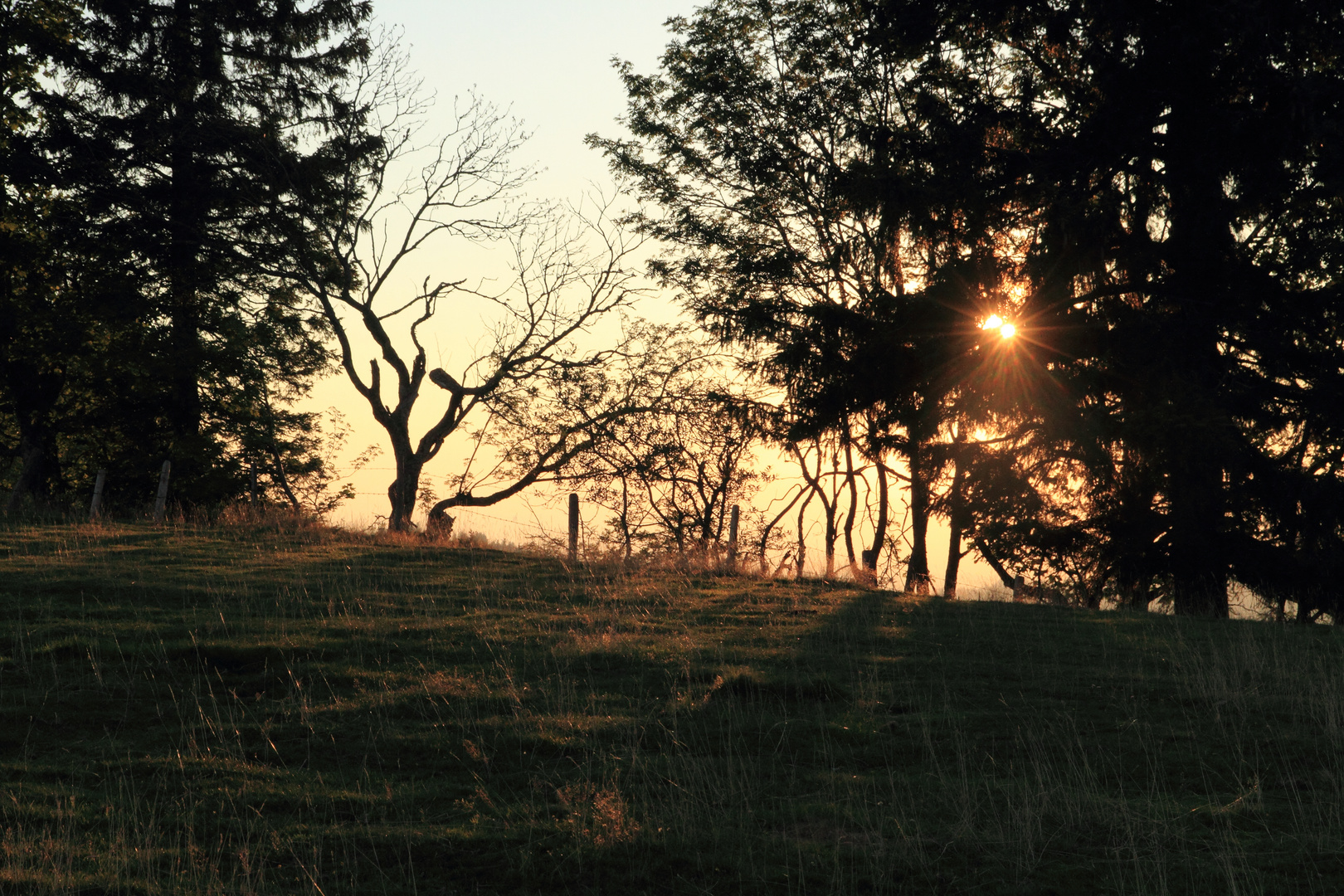 Goldenes Abendlicht