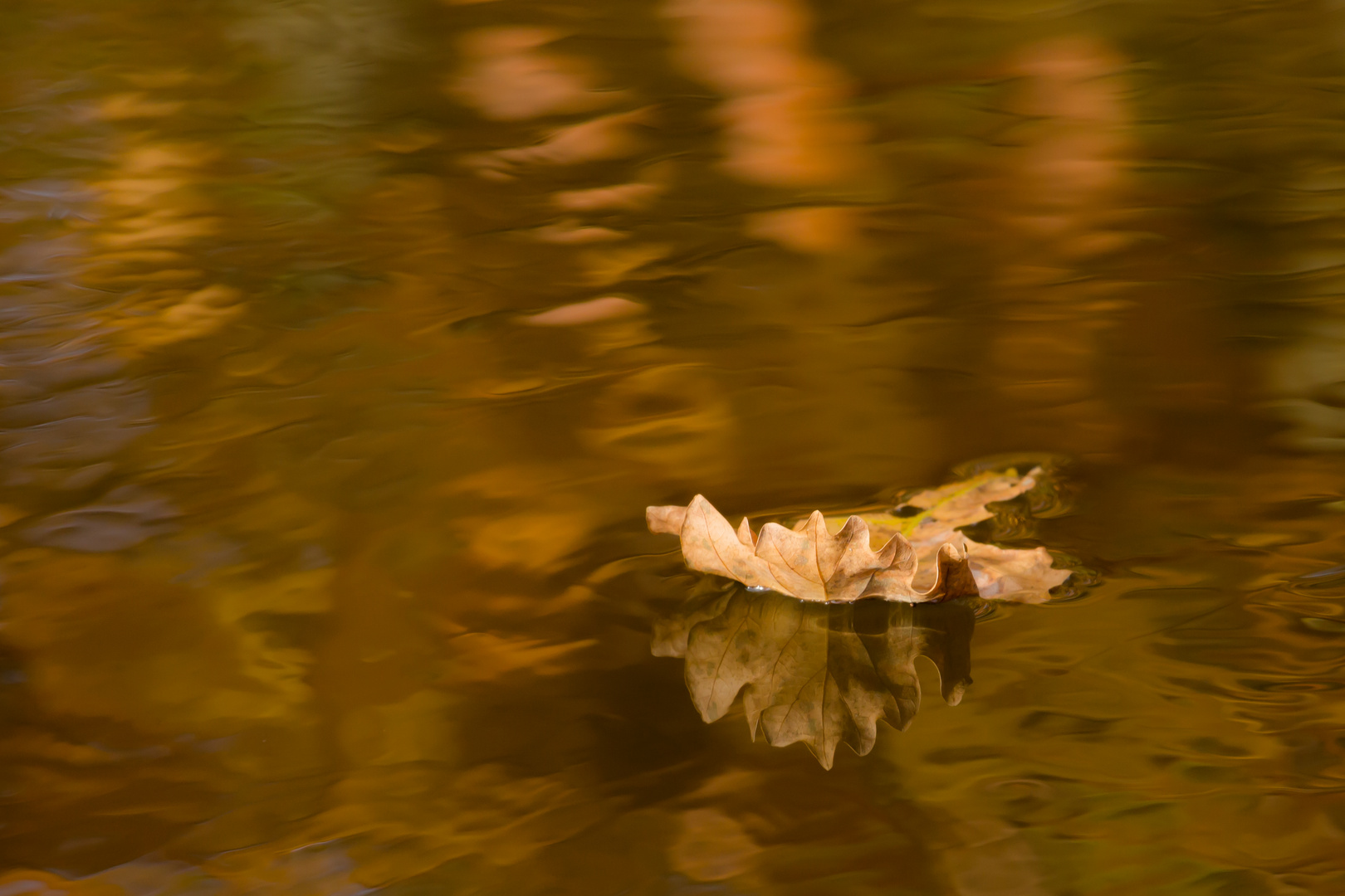 Goldenes Blatt