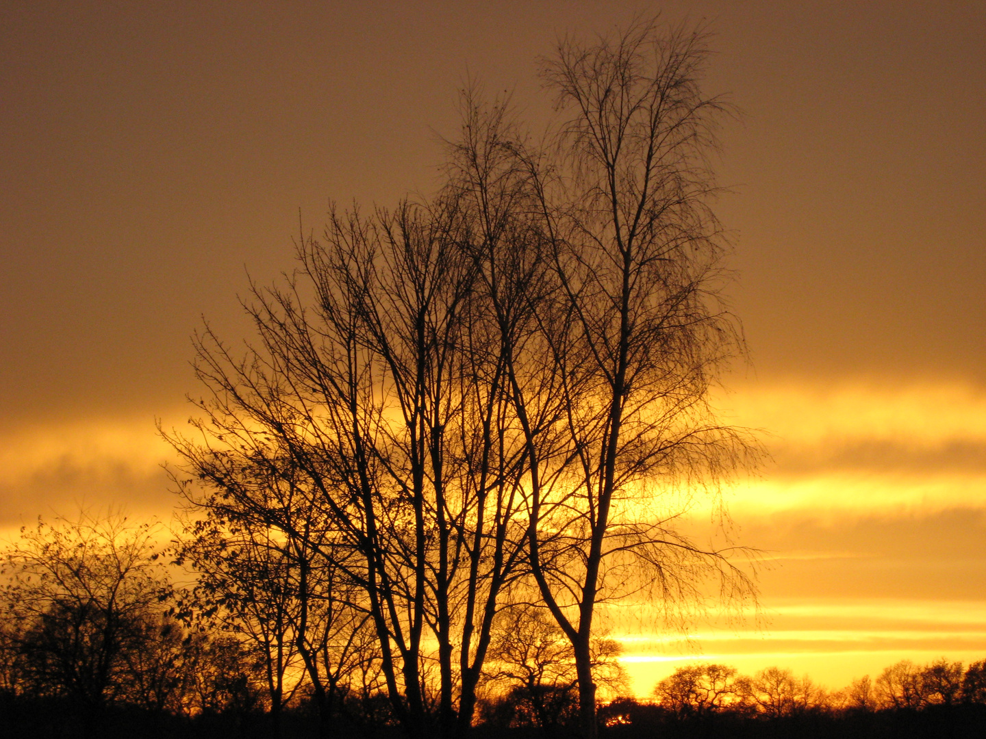 Goldenes Dithmarschen