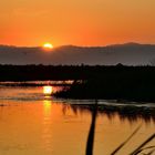 Goldenes Ebrodelta, Golden Ebro Delta, Delta del Ebre dorado,