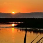 Goldenes Ebrodelta, Golden Ebro Delta, Delta del Ebre dorado,