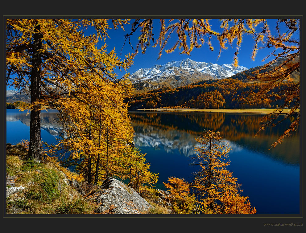 Goldenes Engadin