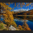 Goldenes Engadin