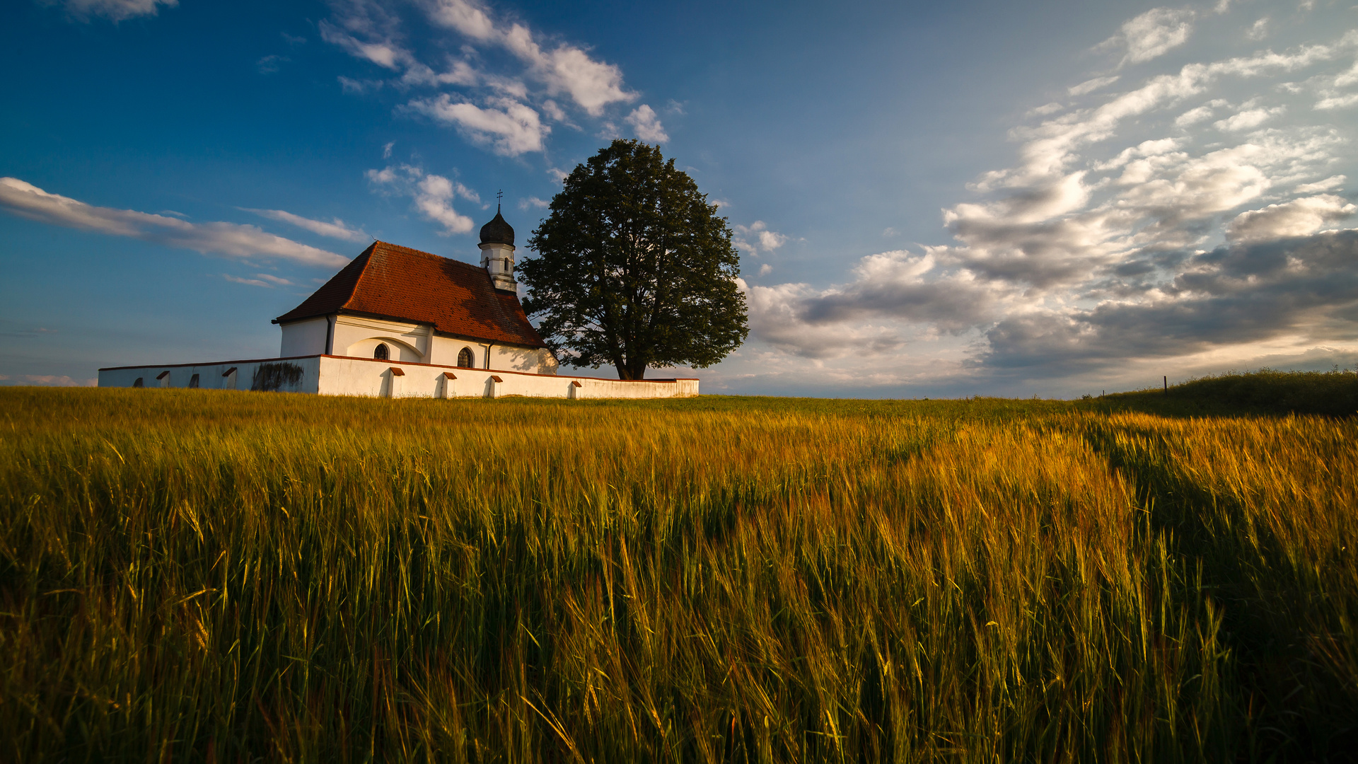 Goldenes Feld 