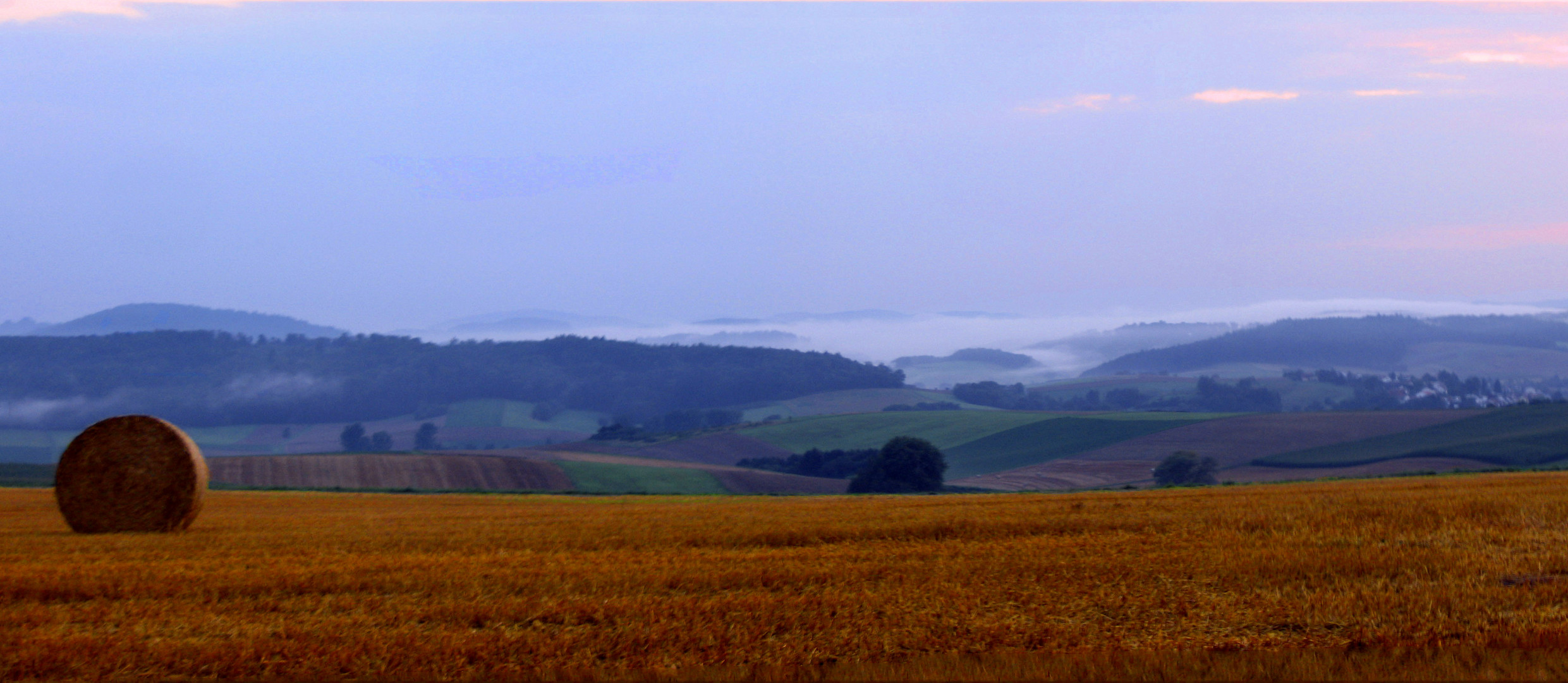 goldenes Feld im Morgengrauen