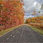 Goldenes Herbst in Masuren