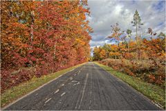 Goldenes Herbst in Masuren