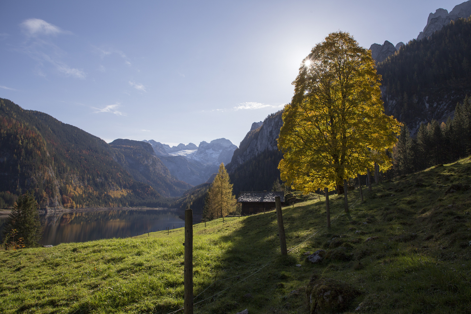 goldenes Herbstlaub