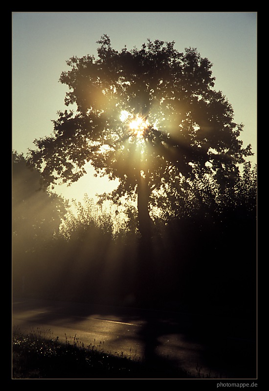 Goldenes Herbstlicht