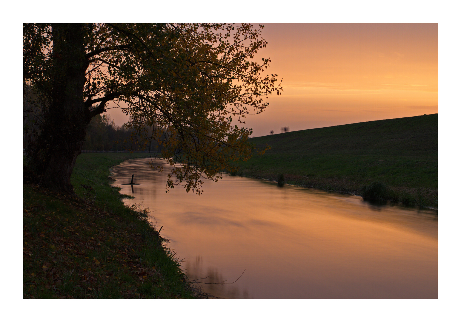 Goldenes Herbstlicht...