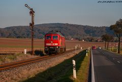 Goldenes Herbstlicht