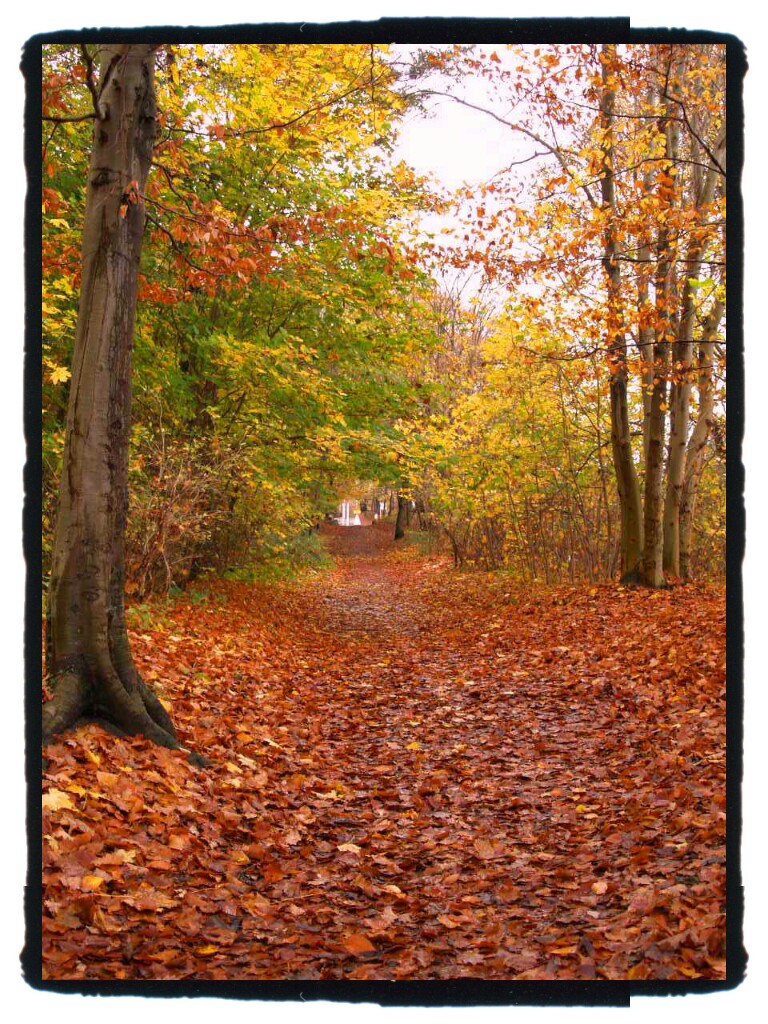 Goldenes Herbstwetter