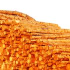 Goldenes Holz