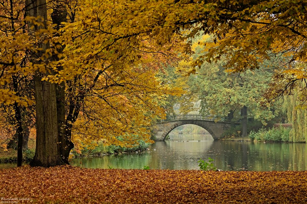  Goldenes Laub im Georgengarten