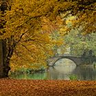  Goldenes Laub im Georgengarten