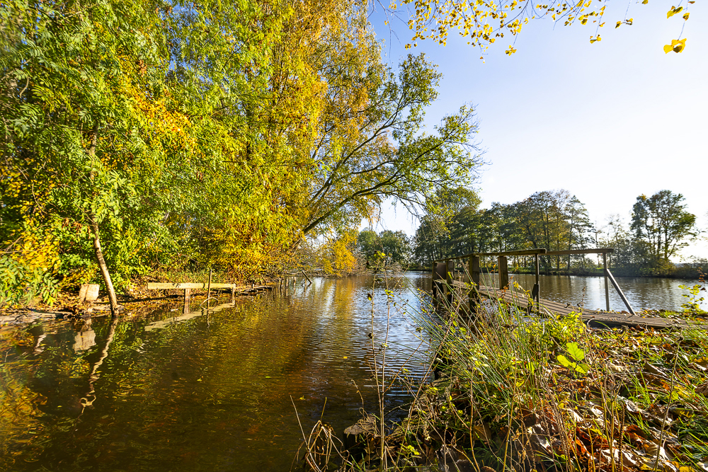 goldenes Leuchten an der Hamme