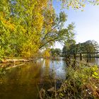 goldenes Leuchten an der Hamme