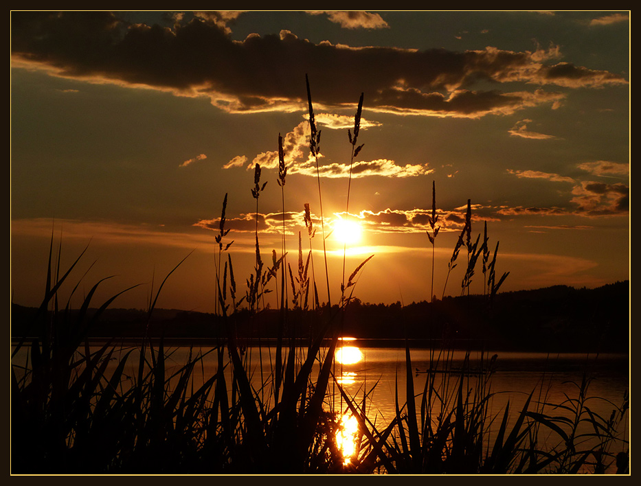 Goldenes Licht