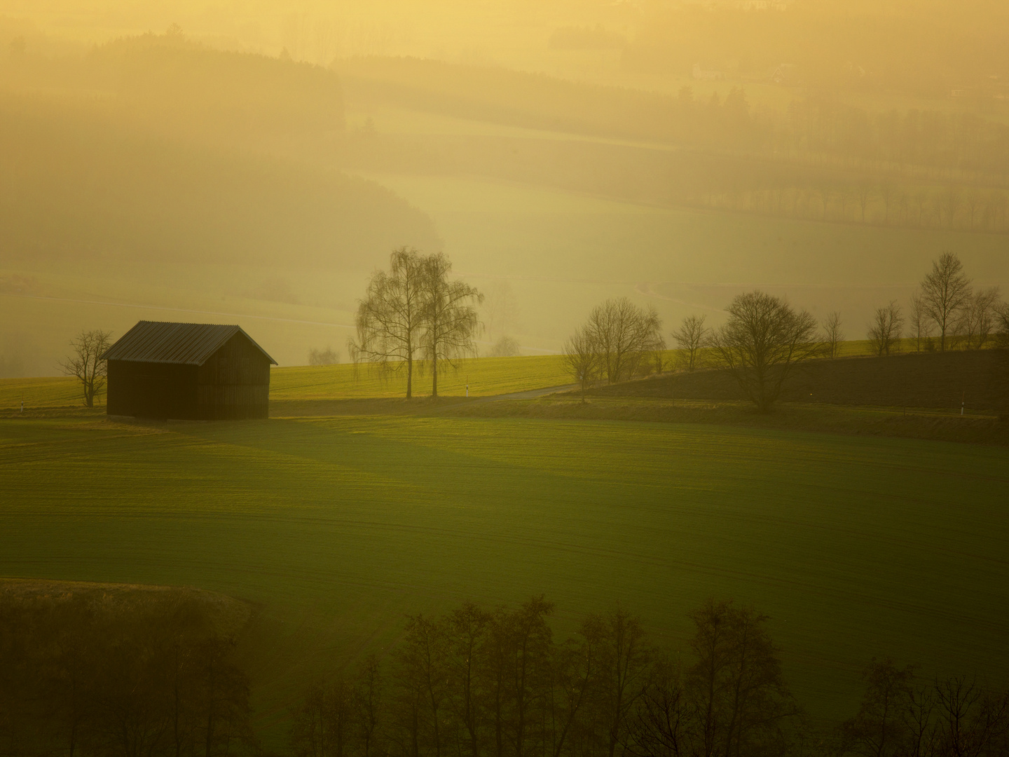 Goldenes Licht