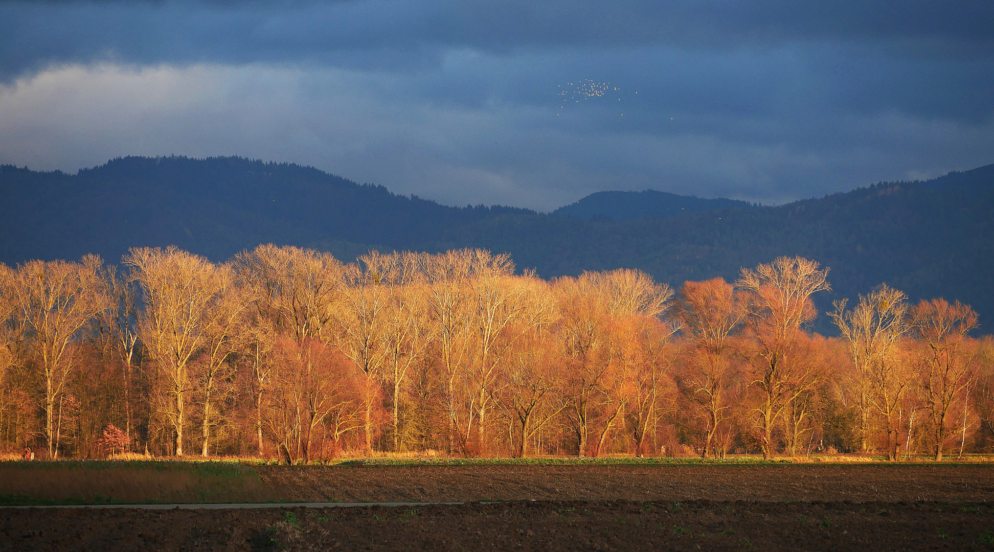 goldenes Licht