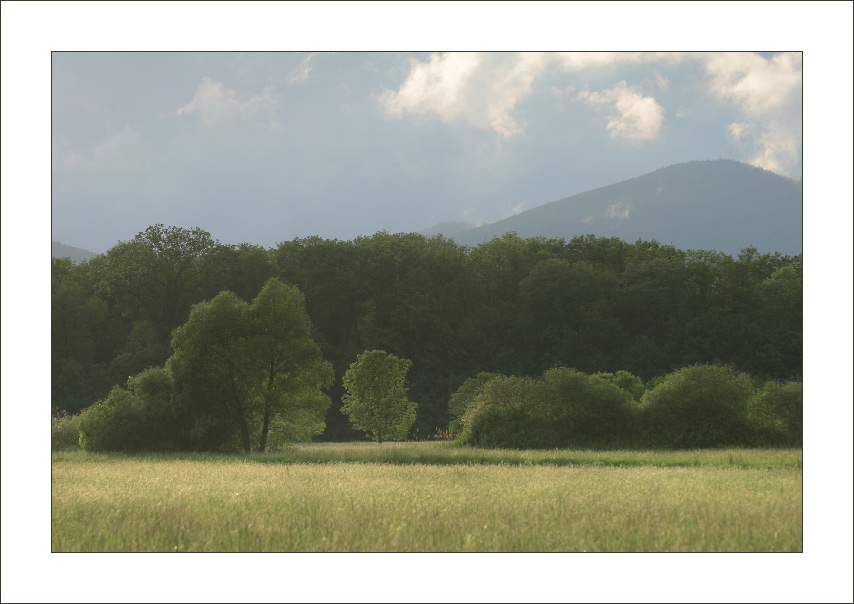 Goldenes Licht