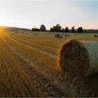 goldenes Licht