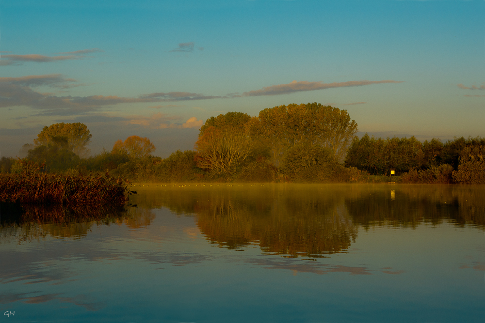 Goldenes Licht