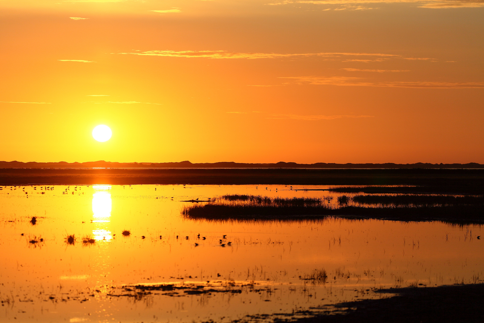 Goldenes Licht am Ringkøbing Fjord