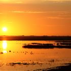 Goldenes Licht am Ringkøbing Fjord