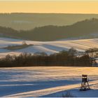 Goldenes Licht, blaue Schatten...