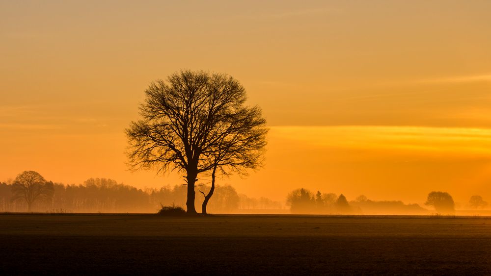 Goldenes Licht