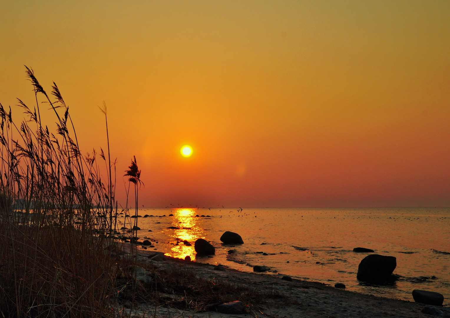 Goldenes Licht der Abendsonne