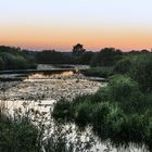 Goldenes Licht im Teufelsmoor