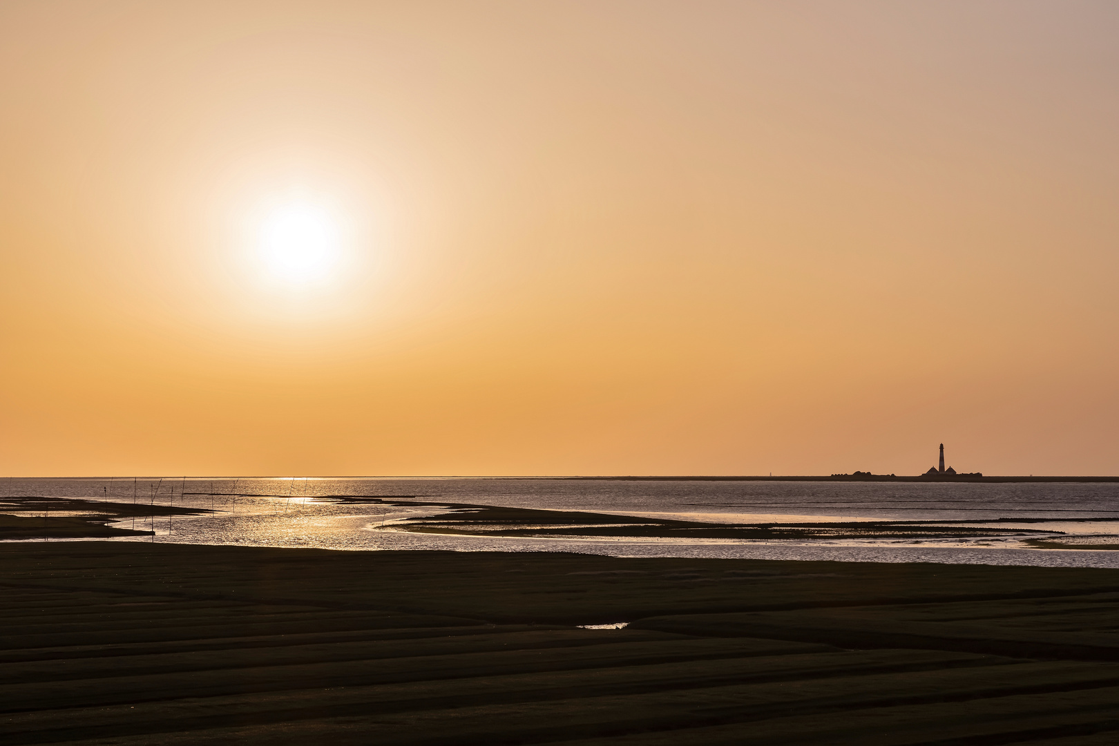 Goldenes Licht im Wattenmeer