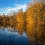 goldenes Licht in der Verlpker Schweiz