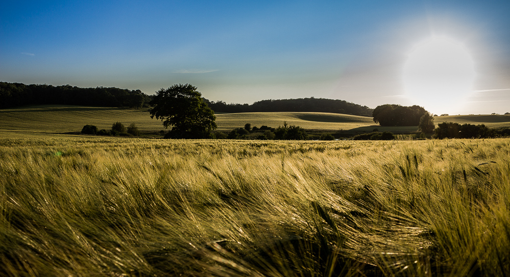 Goldenes Mecklenburg