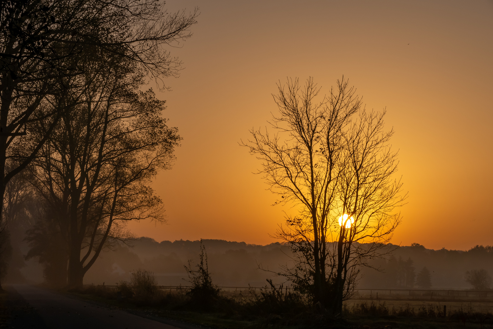 Goldenes Morgenlicht