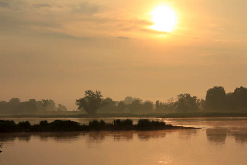 goldenes Morgenlicht