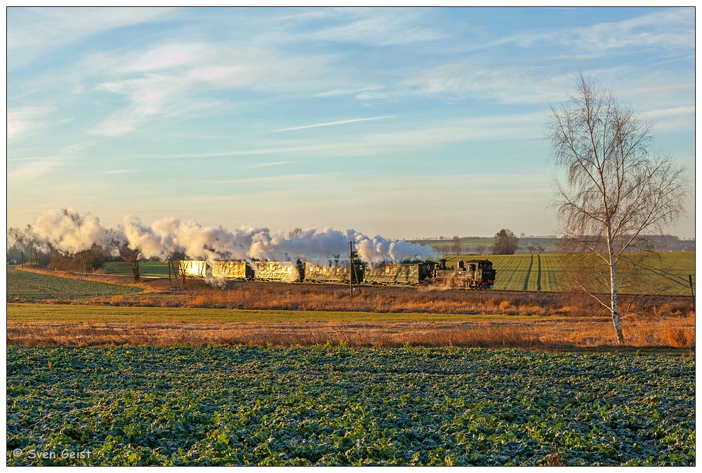 Goldenes Morgenlicht bei Naundorf