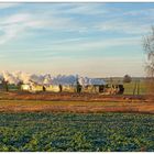 Goldenes Morgenlicht bei Naundorf