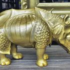 Goldenes Nashorn