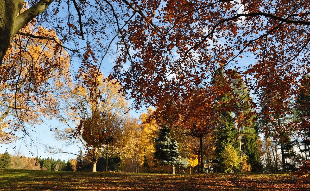 Goldenes Novemberwetter im Zittauer Gebirge