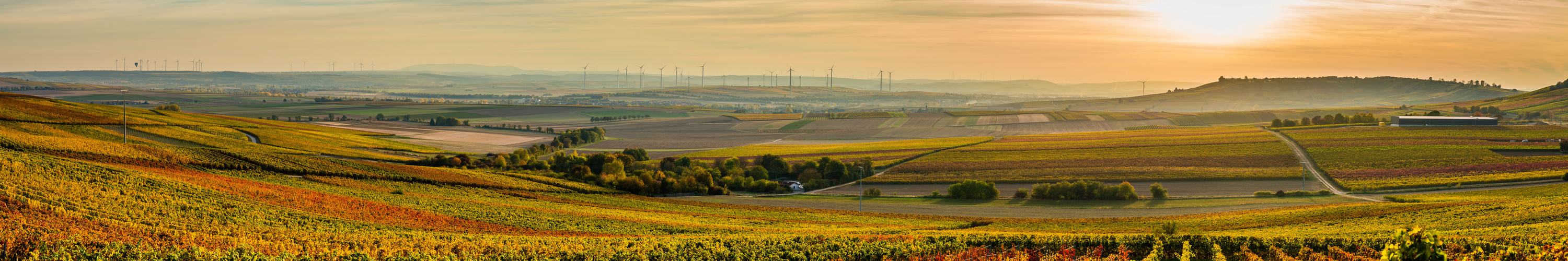 Goldenes Rheinhessen (3.5)