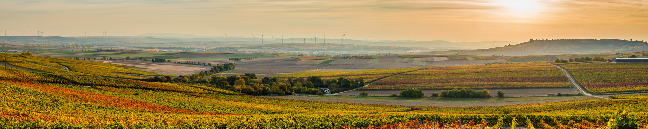 Goldenes Rheinhessen (3.5)